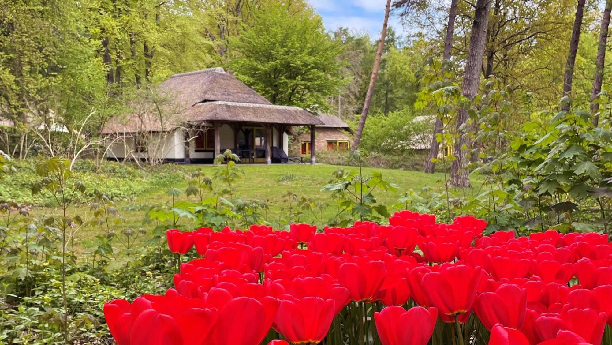 Molecaten Park De Leemkule Гаттем Номер фото