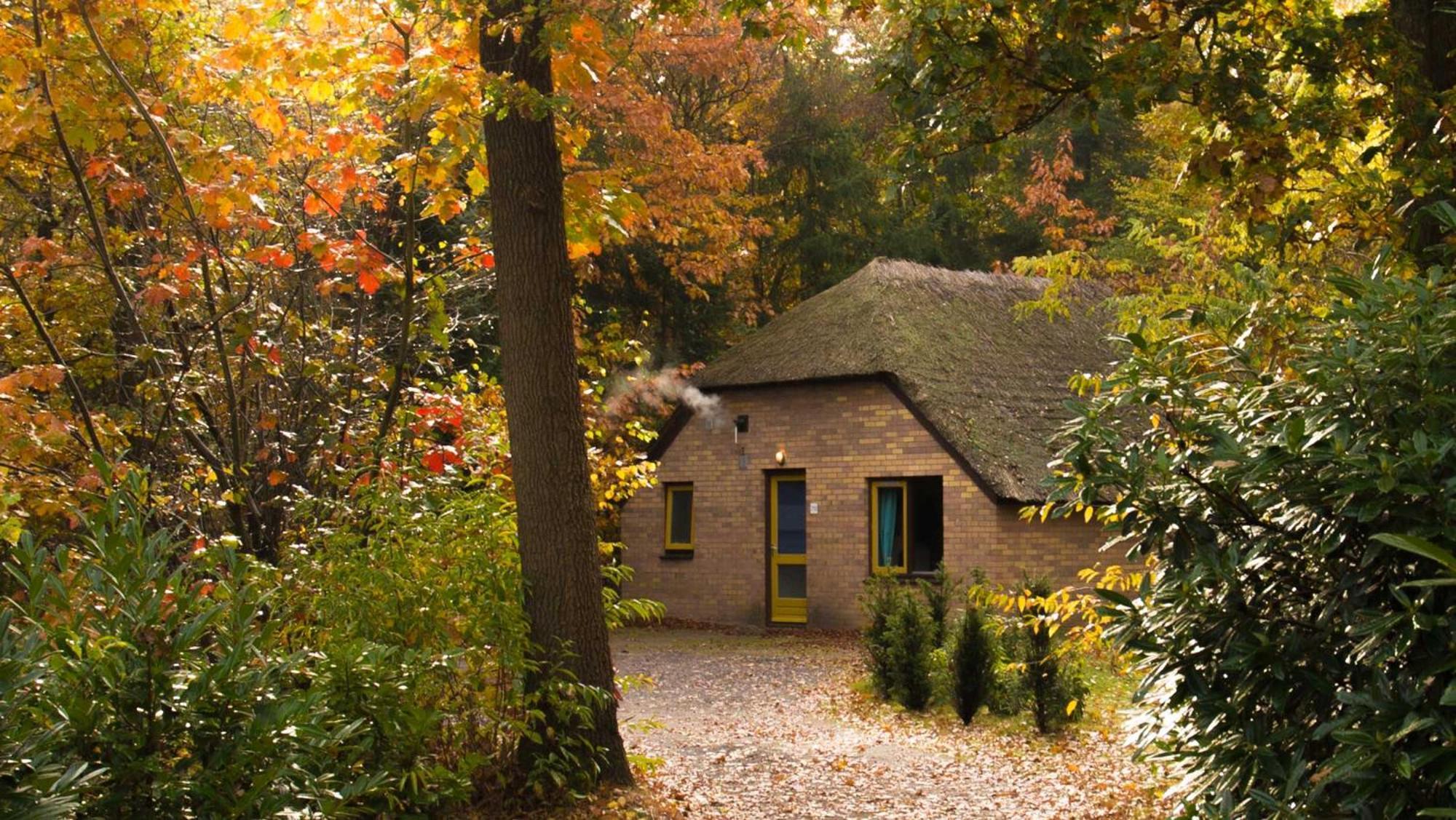 Molecaten Park De Leemkule Гаттем Номер фото