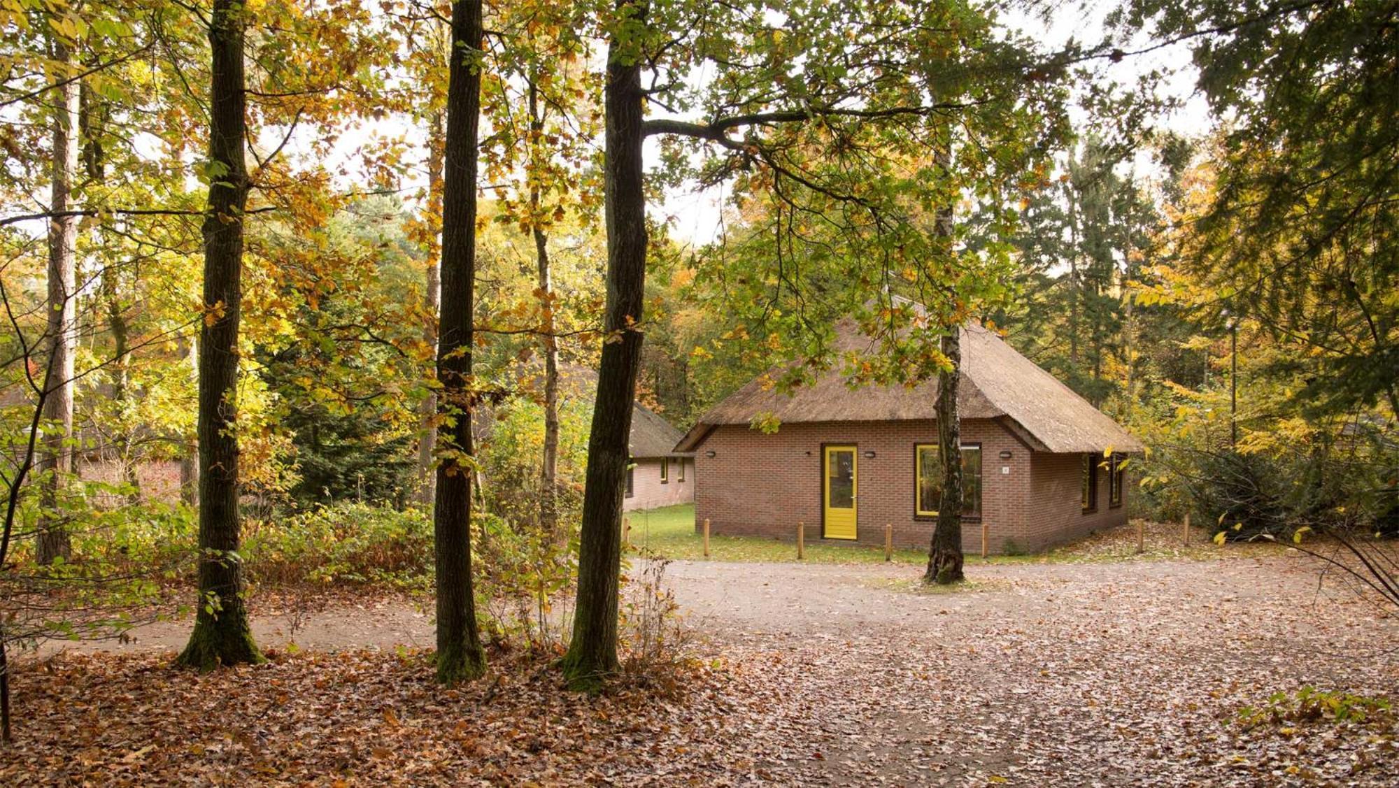 Molecaten Park De Leemkule Гаттем Номер фото