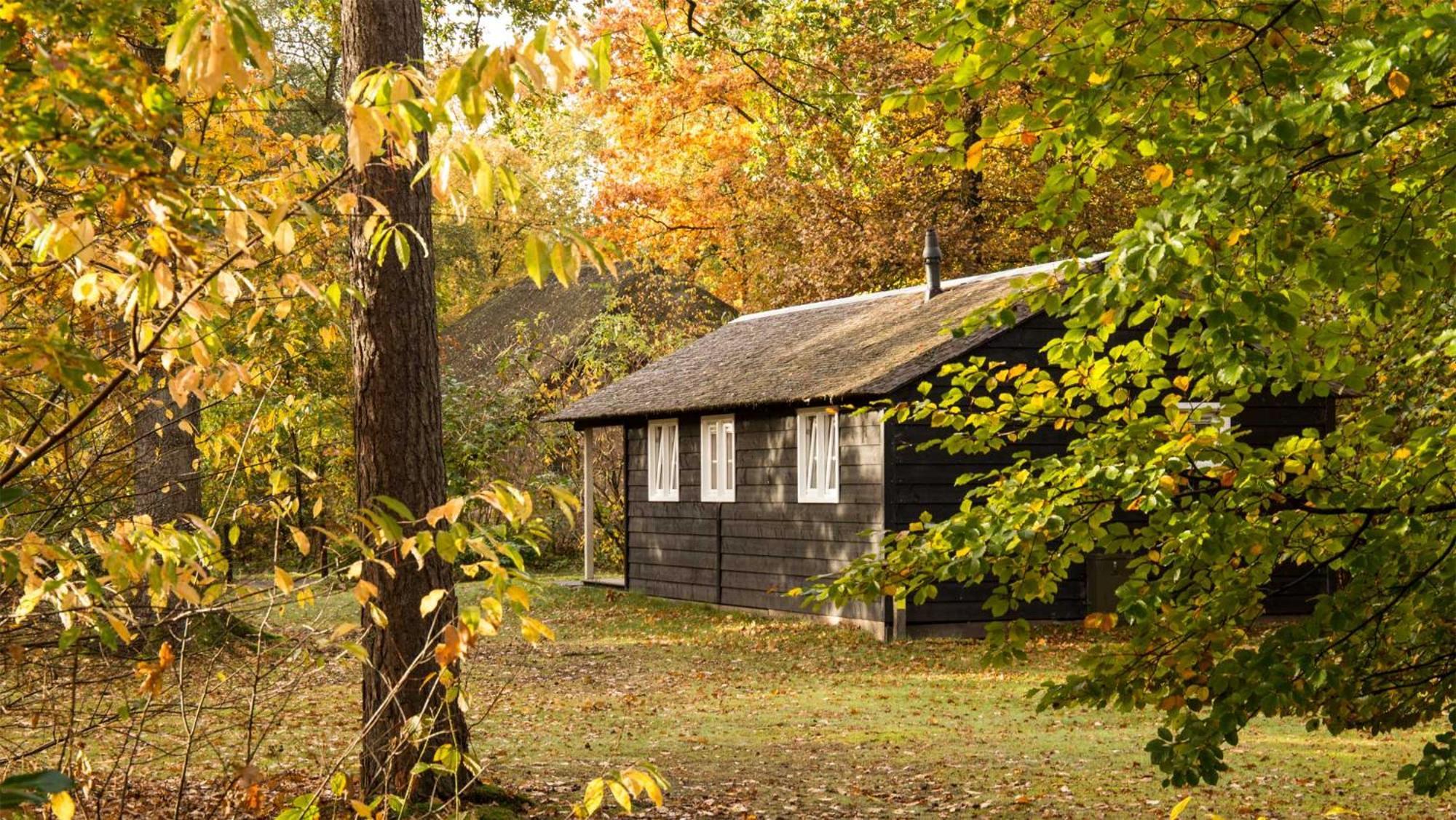 Molecaten Park De Leemkule Гаттем Номер фото